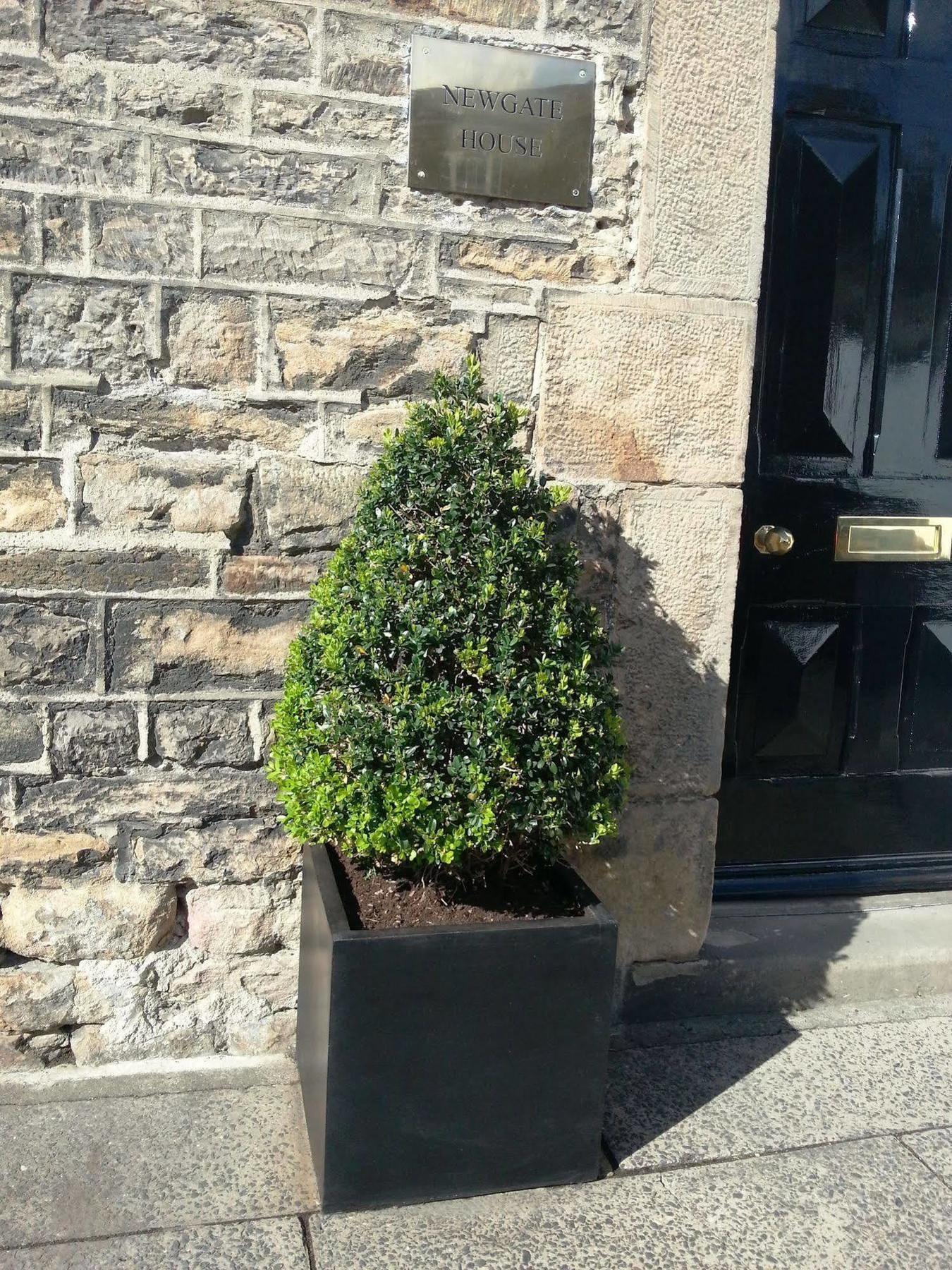 Bed and Breakfast Newgate House Barnard Castle Exterior foto